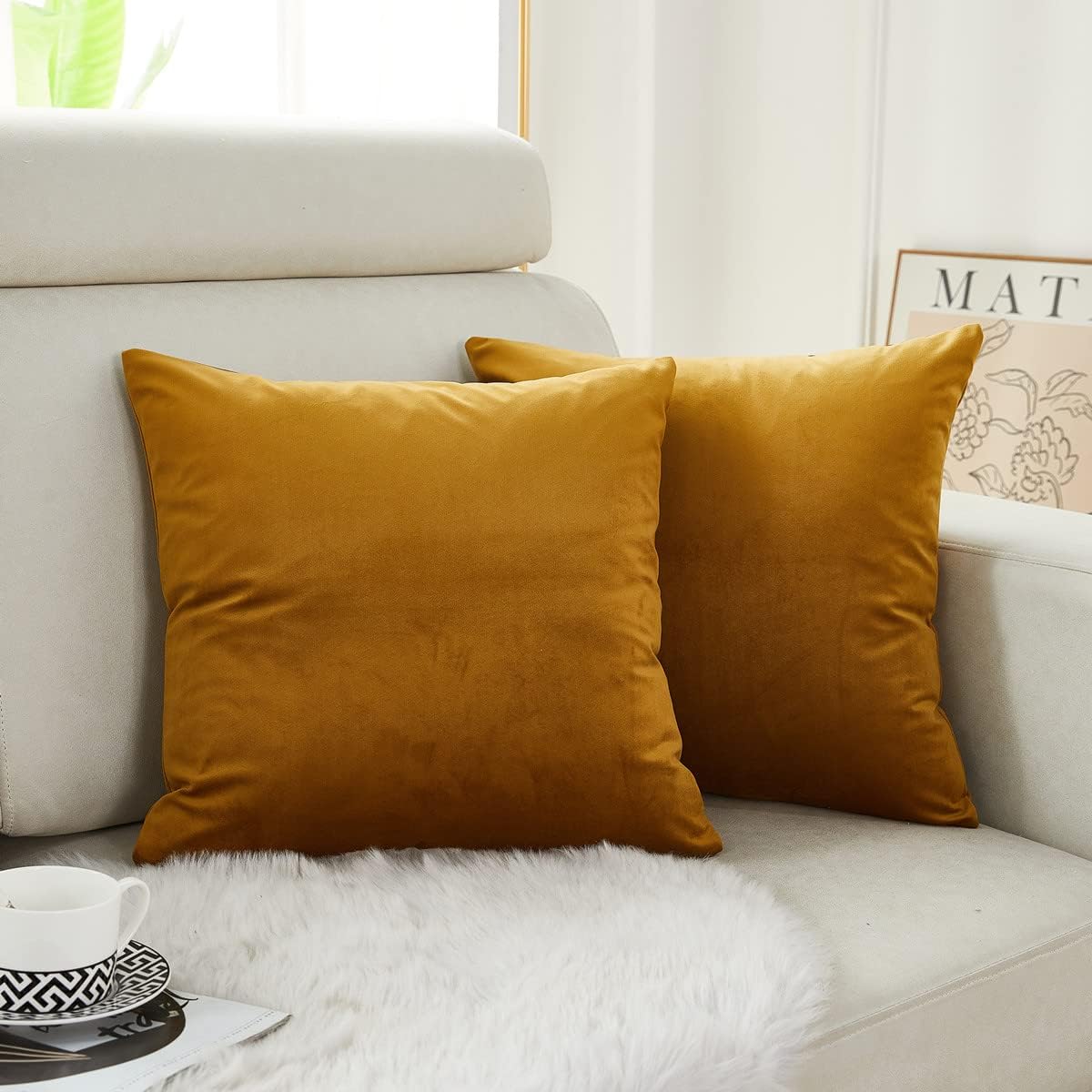 Cayman Velvet Cushion Cover | Set Of 2