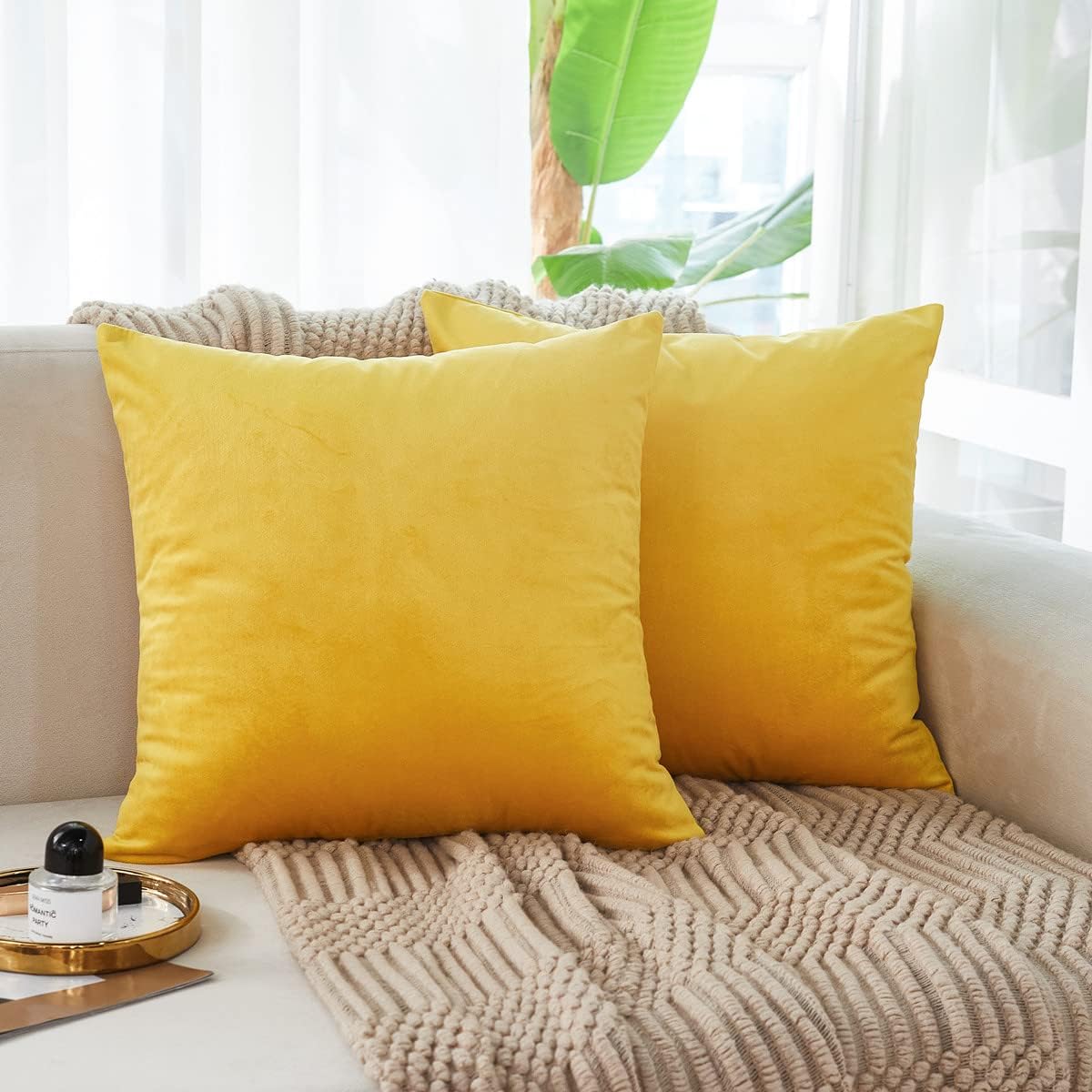 Cayman Velvet Cushion Cover | Set Of 2