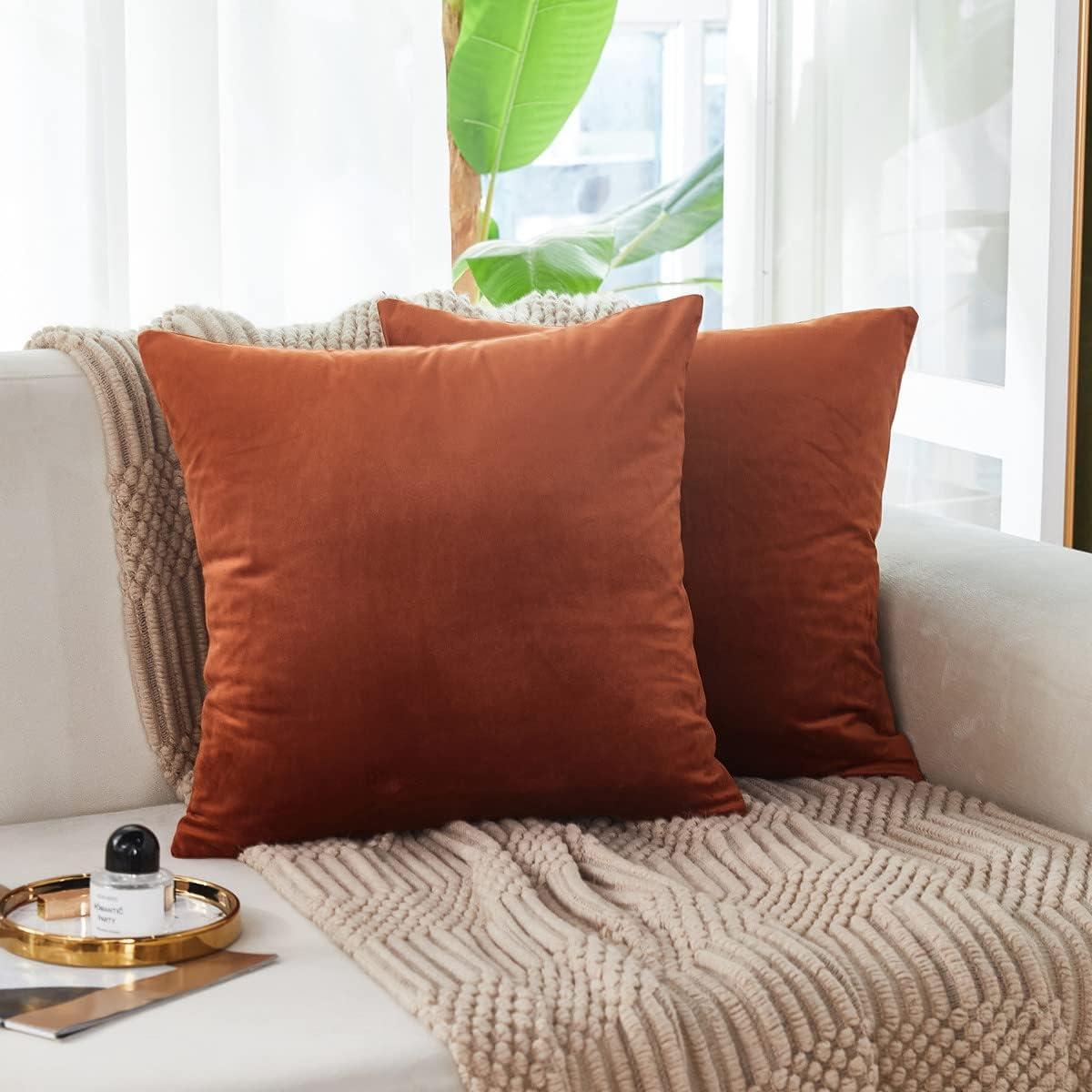 Cayman Velvet Cushion Cover | Set Of 2