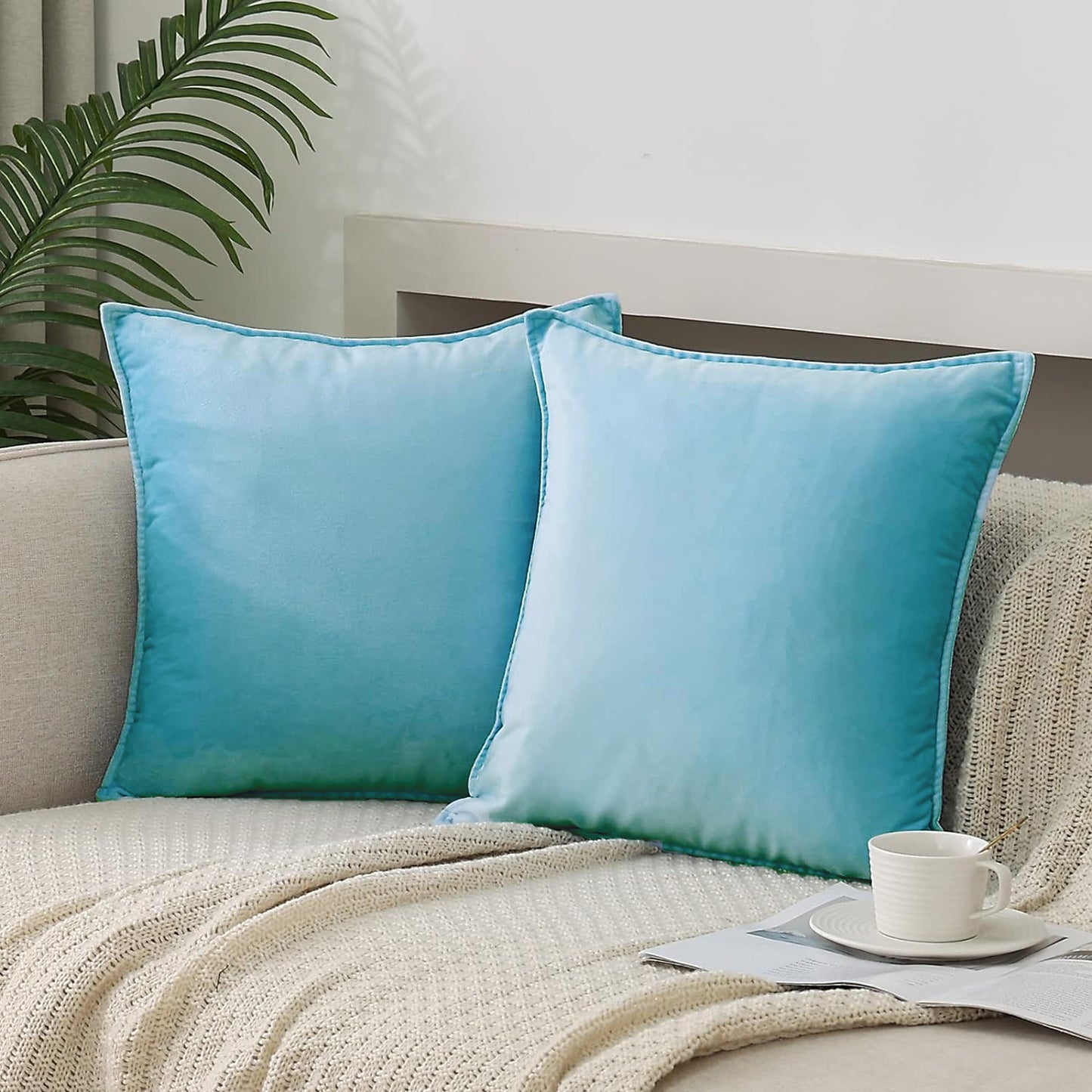 Belize Velvet Cushion Covers | Set Of 2