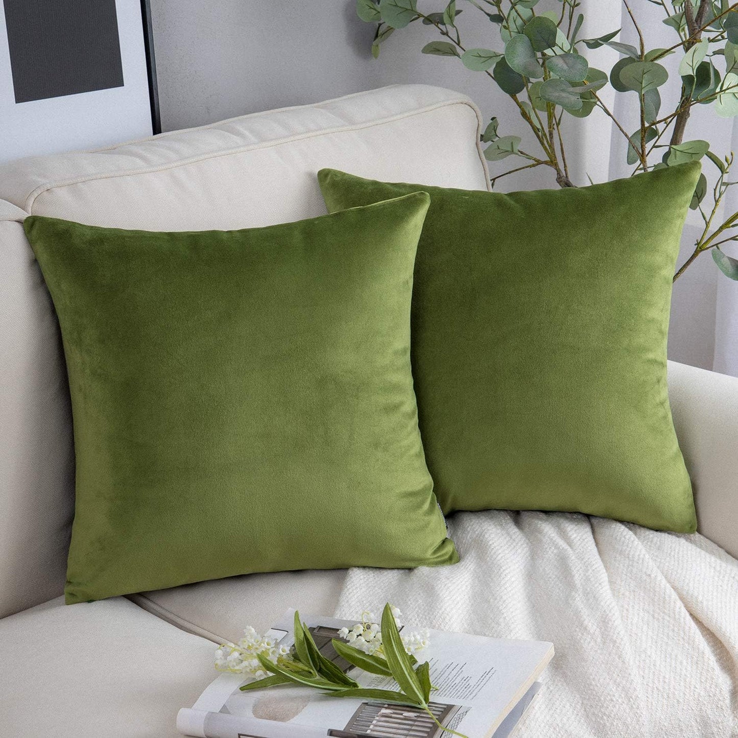 Cayman Velvet Cushion Cover | Set Of 2