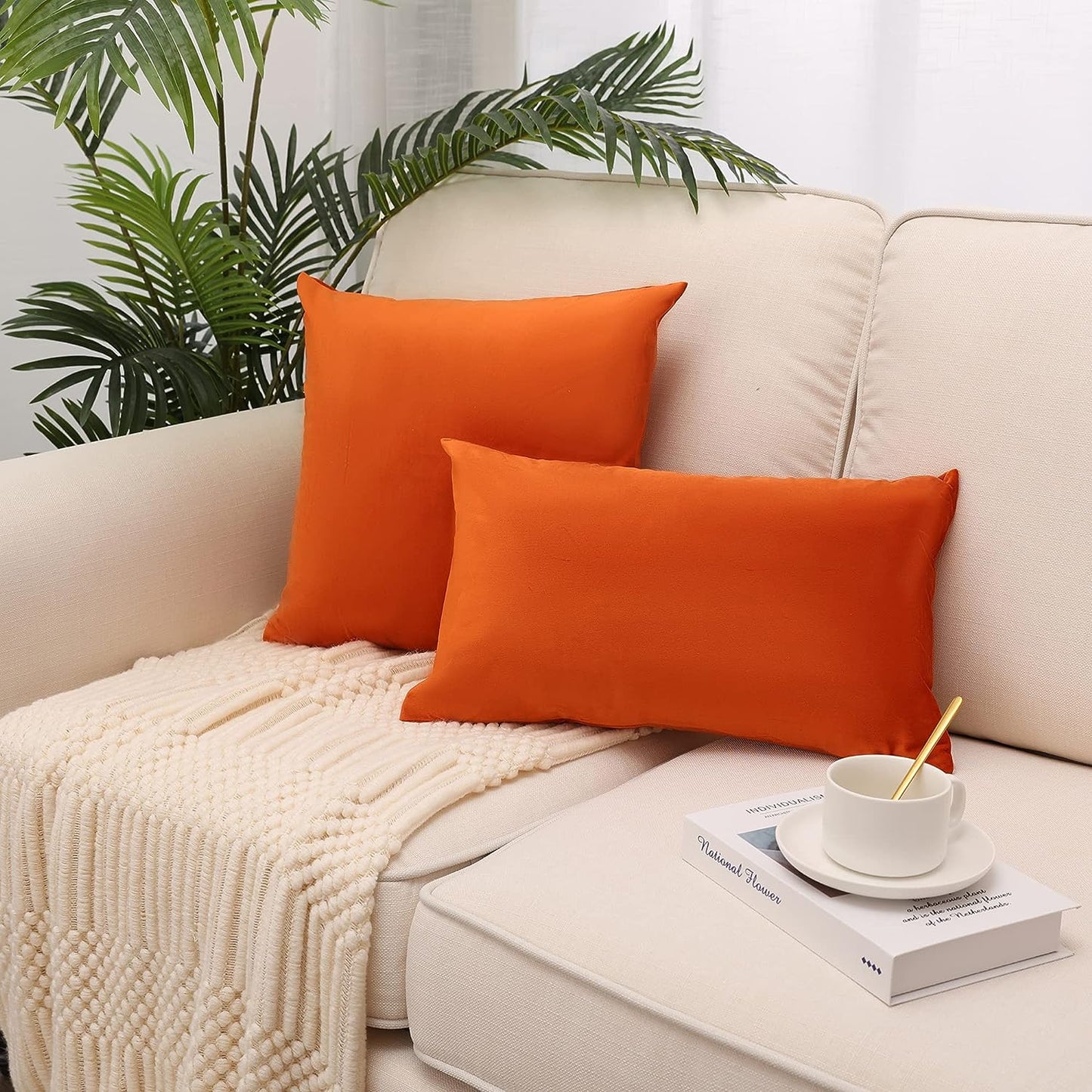 Cayman Velvet Cushion Cover | Set Of 2