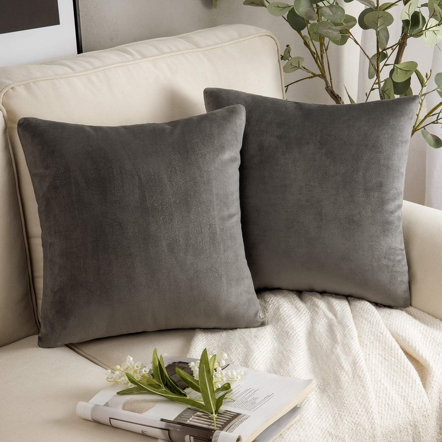 Cayman Velvet Cushion Cover | Set Of 2