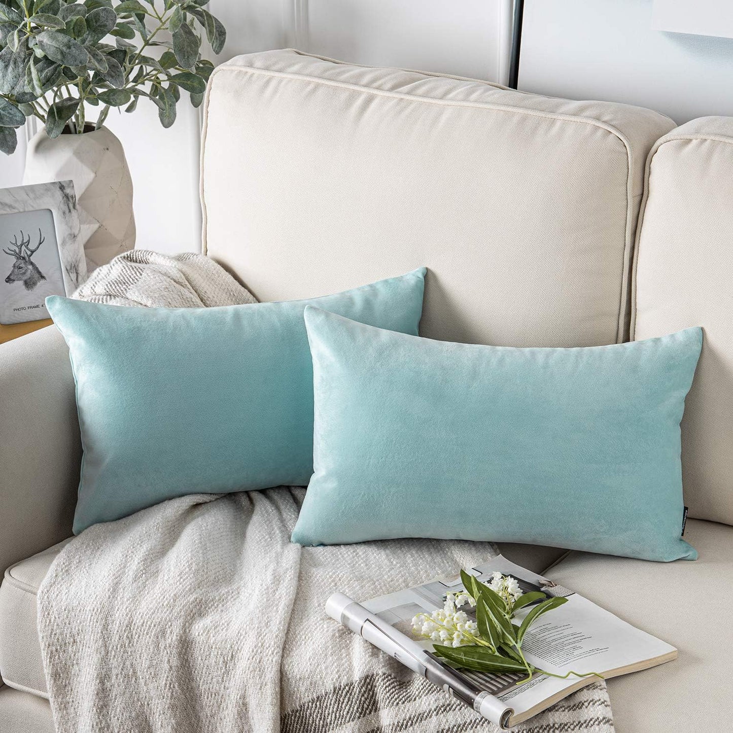 Cayman Velvet Cushion Cover | Set Of 2
