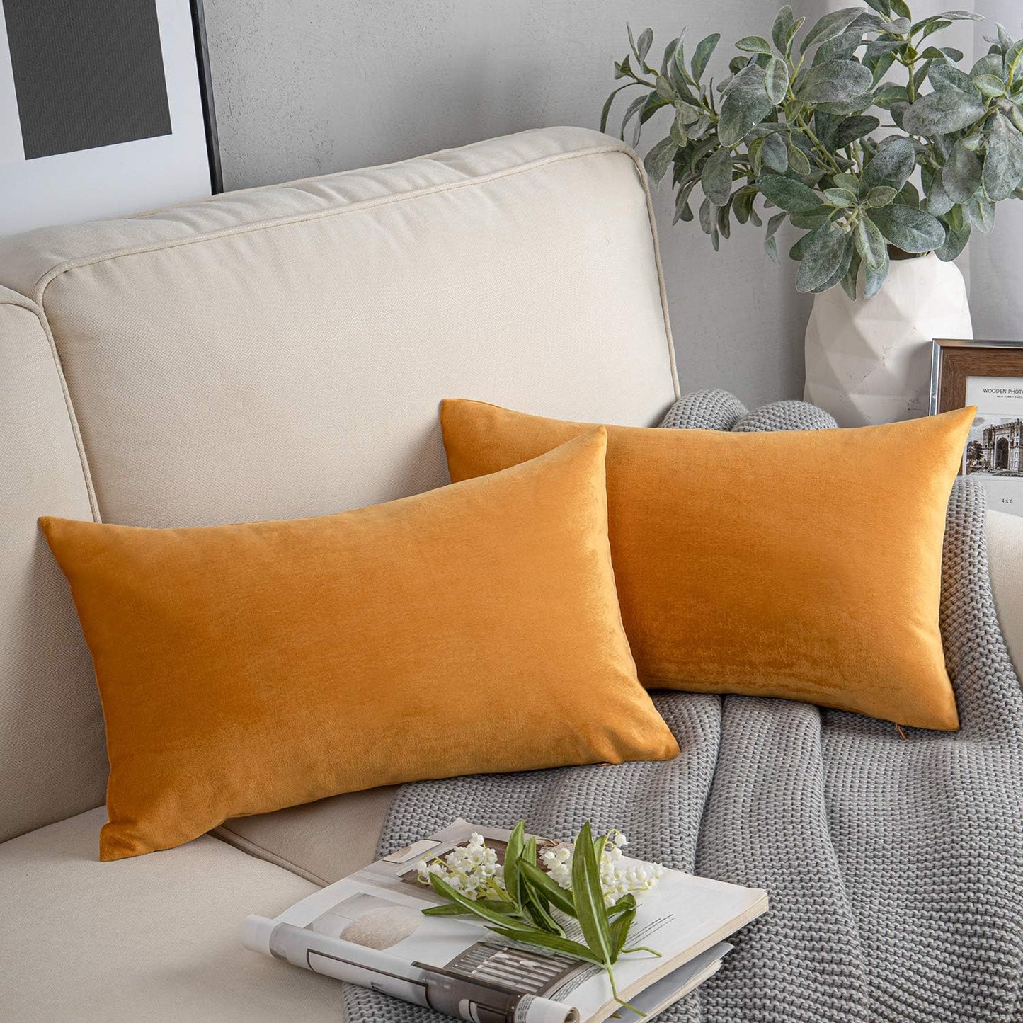 Cayman Velvet Cushion Cover | Set Of 2