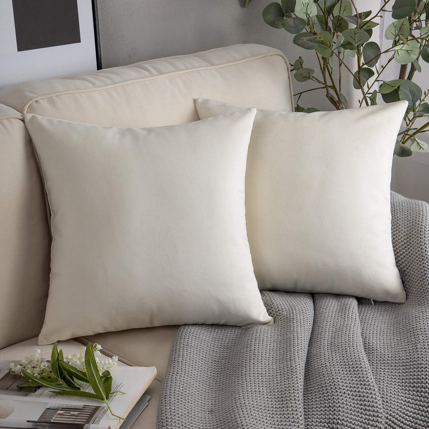 Cayman Velvet Cushion Cover | Set Of 2