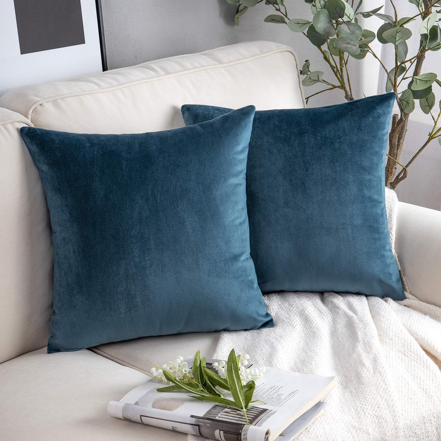 Cayman Velvet Cushion Cover | Set Of 2
