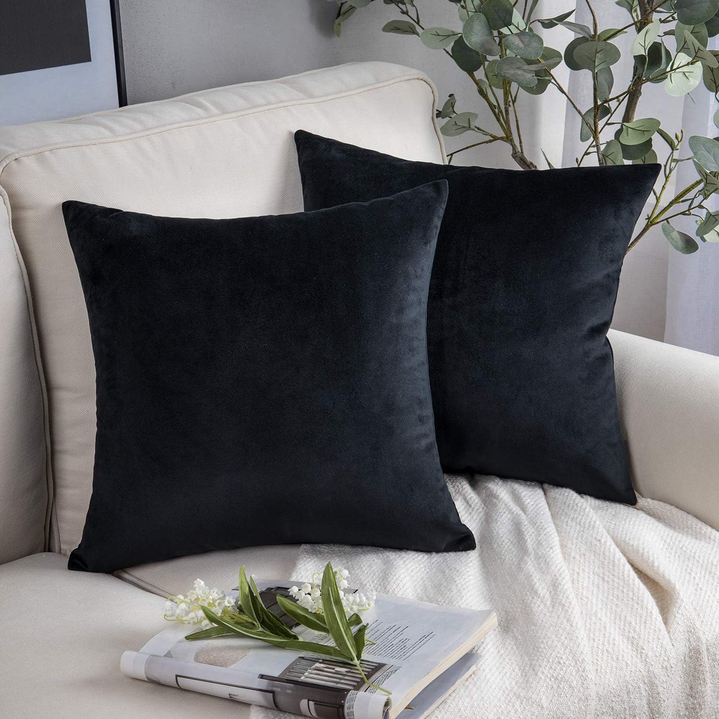 Cayman Velvet Cushion Cover | Set Of 2