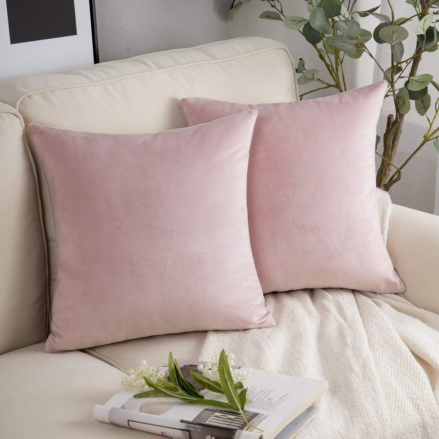 Cayman Velvet Cushion Cover | Set Of 2