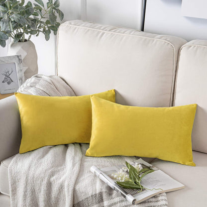 Cayman Velvet Cushion Cover | Set Of 2
