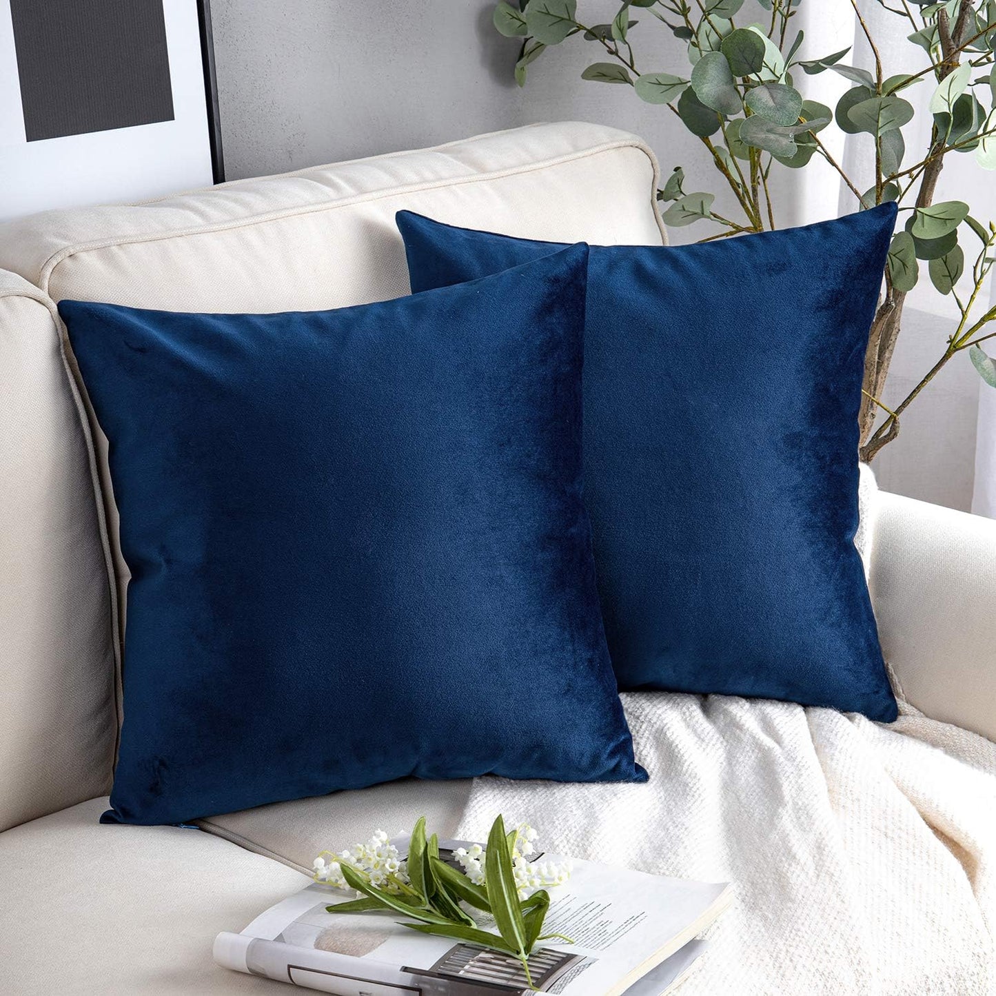 Cayman Velvet Cushion Cover | Set Of 2