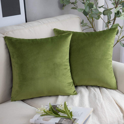 Cayman Velvet Cushion Cover | Set Of 2